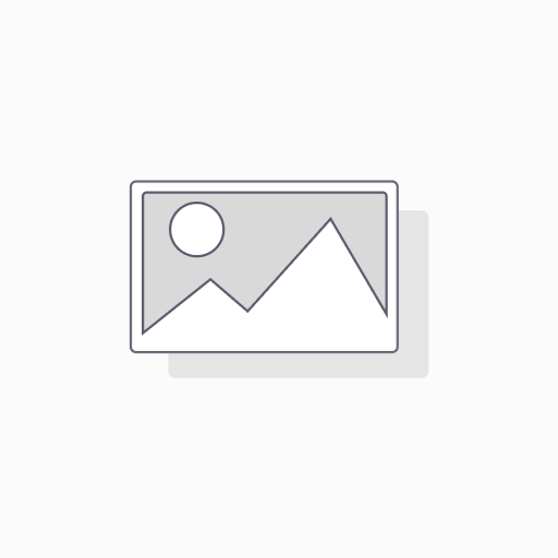 [0] الکیدی براق اتومبیلی رگیولار گالن